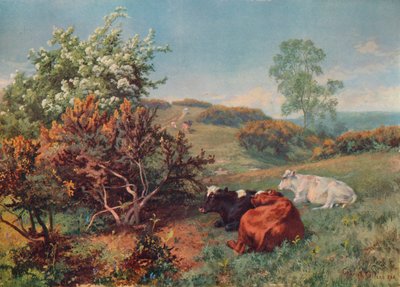 Paysage avec bétail à In the Nower, Dorking, vers 1899 - Charles Collins