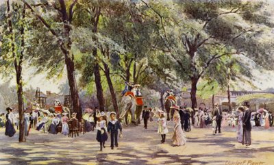Zoo de Londres : Allée principale, avec des éléphants - Charles Edwin Flower