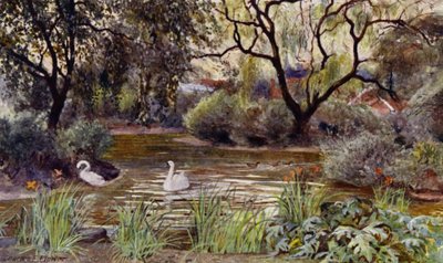 Zoo de Londres : Étang des Trois Îles - Charles Edwin Flower