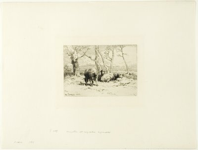 Moutons et cinq arbres - Charles Emile Jacque