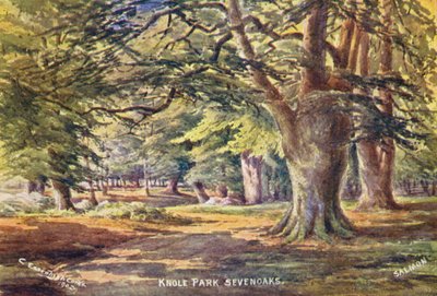 Maison Knole : Hêtres dans le parc - Charles Essenhigh Corke