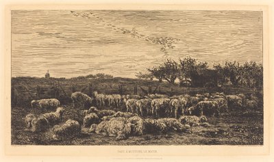 Le Grand parc à moutons - Charles Francois Daubigny