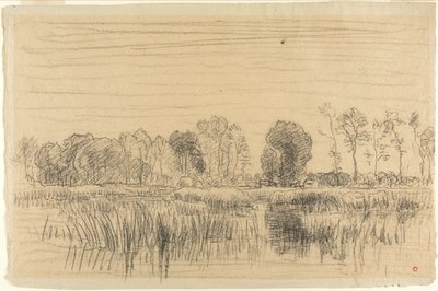 Marais et écran d