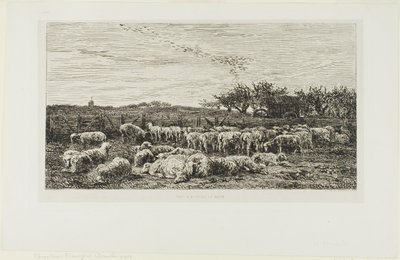 Prairie avec moutons - Charles Francois Daubigny
