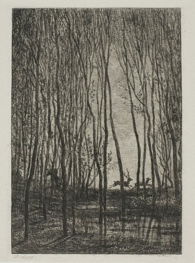 Cerfs dans les Bois - Charles Francois Daubigny