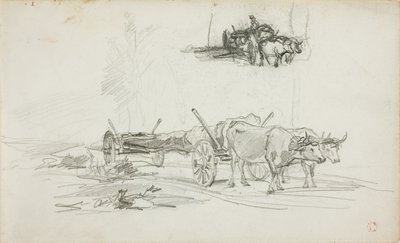 Deux croquis de bœufs tirant un tronc d