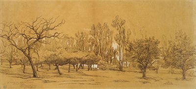 Vue d