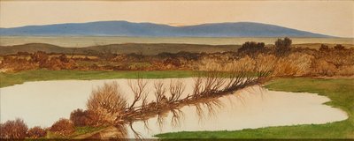Coucher de soleil sur un étang - Charles Hutton Lear