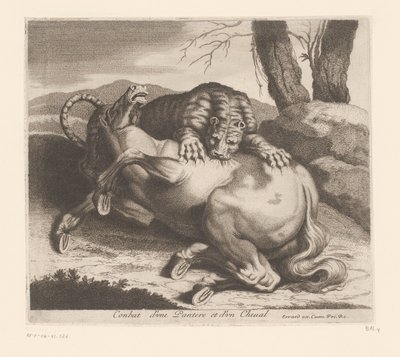 Combat entre une panthère et un cheval (Série d
