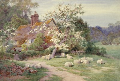 Moutons devant un cottage au printemps - Charles James Adams