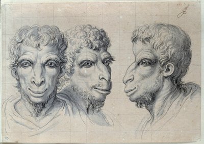 Études de trois têtes d
