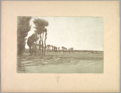Suite de Paysages : Paysage, Planche 5, Remarque, Trois épis de blé, 1892-1893 - Charles Marie Dulac