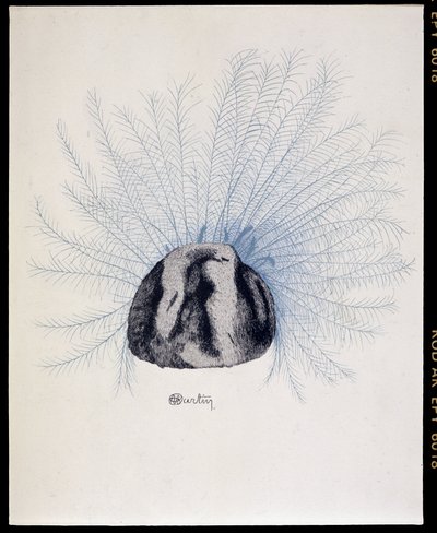 Chapeau à plumes - «La Mode en 1912» par Marcelle Demay, illustration de Charles Martin - Charles Martin
