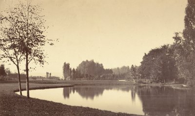 Bois de Boulogne - Charles Marville