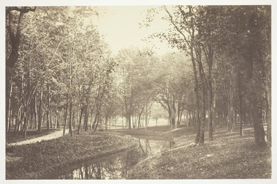 Sans titre - Charles Marville