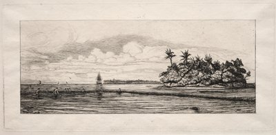 Océanie : Pêche près des îles avec des palmiers dans le groupe Uea ou Wallis, 1863 - Charles Meryon