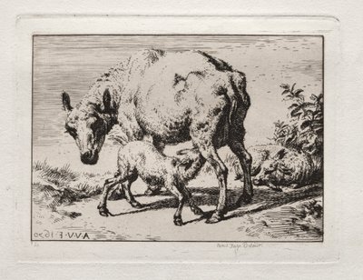 La brebis avec deux agneaux - Charles Meryon