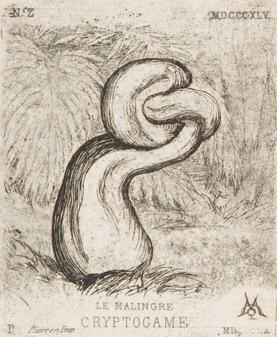 La chétive Cryptogamie - Charles Meryon