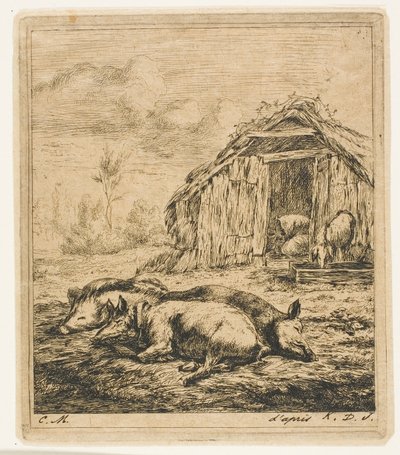 Trois cochons allongés devant un abri - Charles Meryon