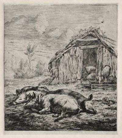 Trois porcs allongés devant une porcherie, 1850 - Charles Meryon