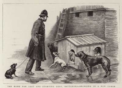 Le foyer pour chiens perdus et affamés, Battersea, amenant un nouveau venu - Charles Paul Renouard