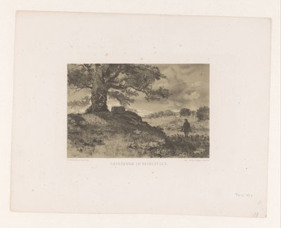 Paysage avec arbre frontière et borne frontière - Charles Rochussen