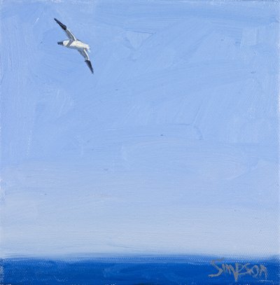 Fou de Bassan, 2010 (huile sur toile) - Charles Simpson