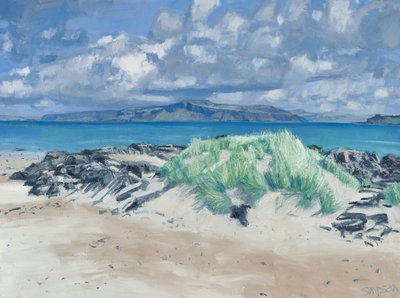 Roches et herbes, Iona, 2013 (huile sur toile) - Charles Simpson