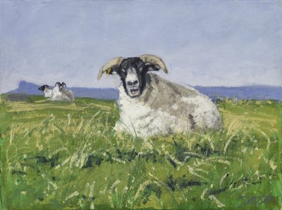 Mouton de la côte ouest, 2017 (huile sur toile) - Charles Simpson