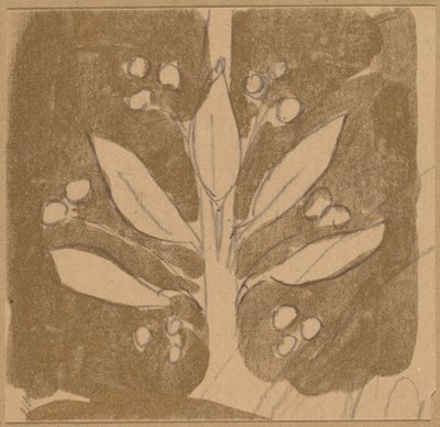 Étude pour un dessin de bordure - Charles Sprague Pearce