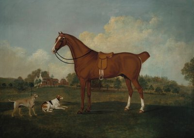 Un chasseur bai avec deux chiens dans un paysage, avec un manoir au-delà, 1779 - Charles Towne