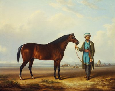 Un étalon arabe tenu par un palefrenier avec un campement au-delà - Charles Towne