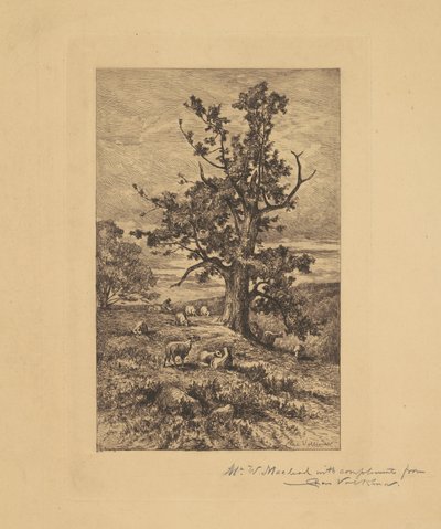 Paysage avec des moutons - Charles Volkmar