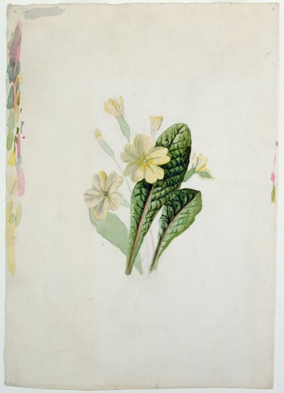Étude d