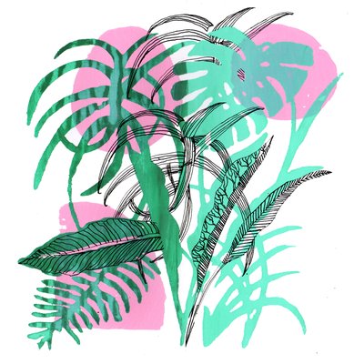 Plantes tropicales, 2018 - Charlotte Orr