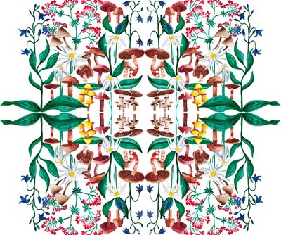 Plantes Sauvages - Charlotte Orr