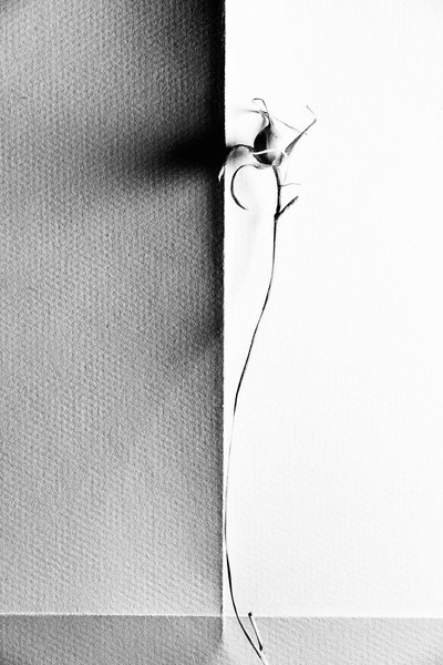 - Chen Hongzhou