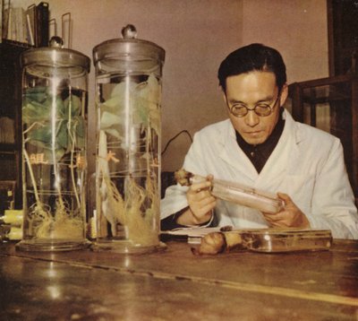 Chimiste agricole chinois de l