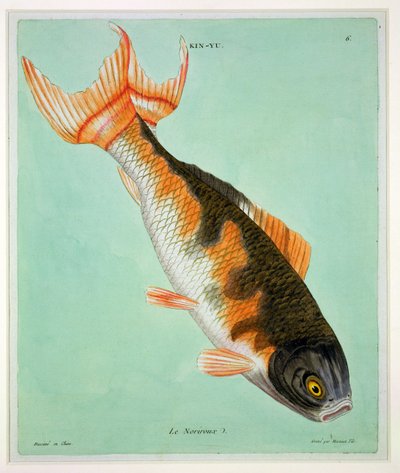 Le Noriroux, gravé par François Nicholas Martinet (1731-ap.1796) - Chinese School