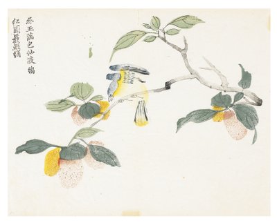 Jardin de graines de moutarde - Chinese School