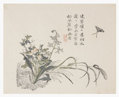 Jardin de graines de moutarde - Chinese School