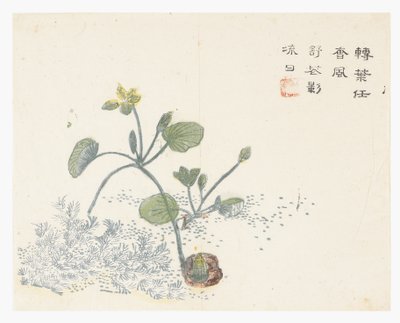 Jardin de la graine de moutarde - Chinese School