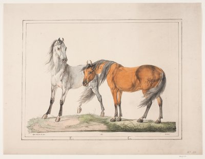 Les chevaux E & G - Christian David Gebauer