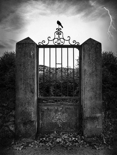 Corbeau de la Porte des Ténèbres - Christian MARCEL