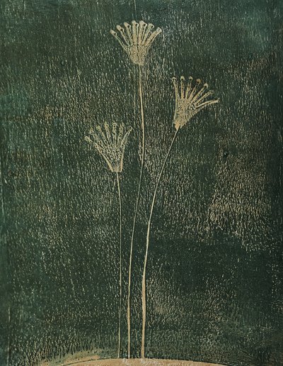 Fleurs vertes - Christina Misuro