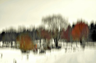 Forêt hivernale (abstraite) - Christina Sillen