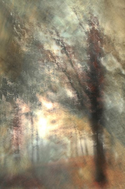  - Christina Sillen