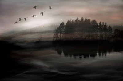  - Christina Sillen