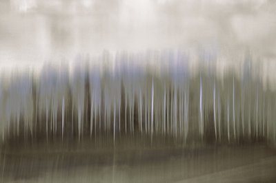 Reflet flou dans la forêt - Christina Sillen