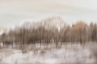 Reflet flou dans la forêt - Christina Sillen